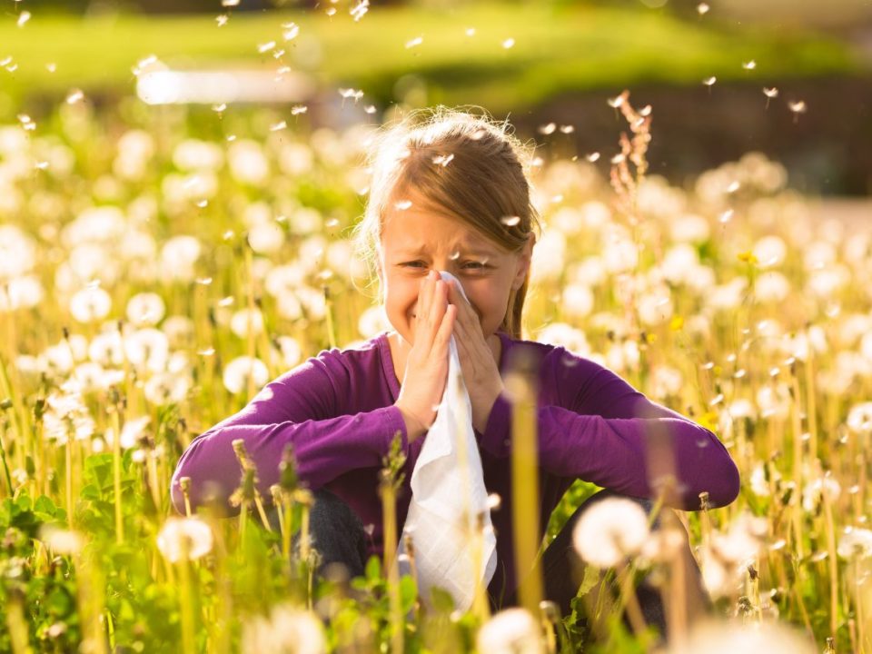 Heuschnupfen ganzheitlich