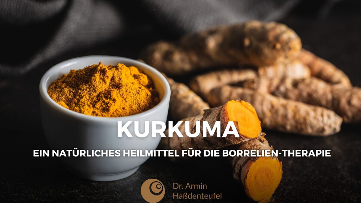 Kurkuma-und-Borreliose-Blogbeiträge-Haßdenteufel