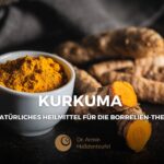 Kurkuma-und-Borreliose-Blogbeiträge-Haßdenteufel