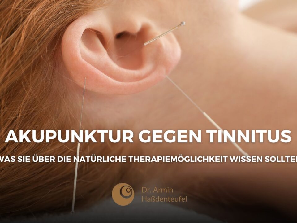 Akupunktur-gegen-tinnitus-Blogbeiträge-Haßdenteufel