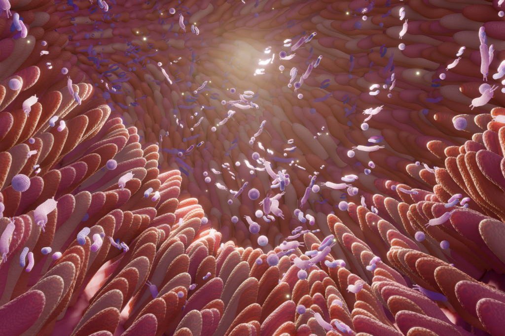 Heuschnupfenprävention- Blogbeitrag